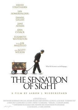 sensationofsightposter